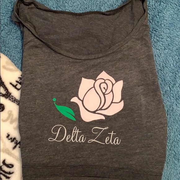 Delta Zeta Crop Top, American Apparel Grey Small - Picture 1 of 2